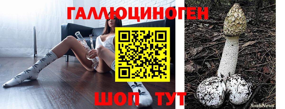 Орехово-Зуево  Псилоцибиновые грибы мухоморы  Вход с VPN 