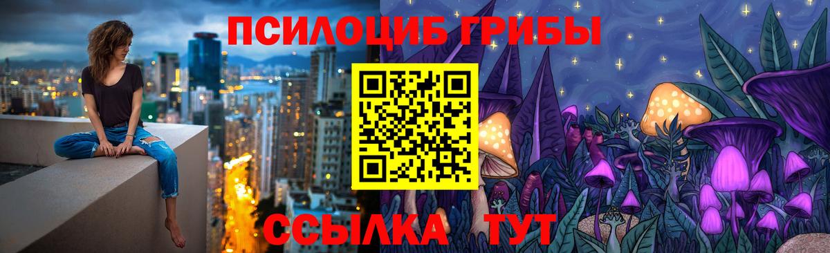 Псилоцибиновые грибы Cubensis Орехово-Зуево